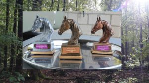 BFD Bergisch Land - Königsforstrallye