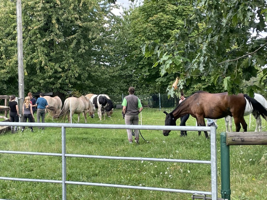 Pause für die Pferde