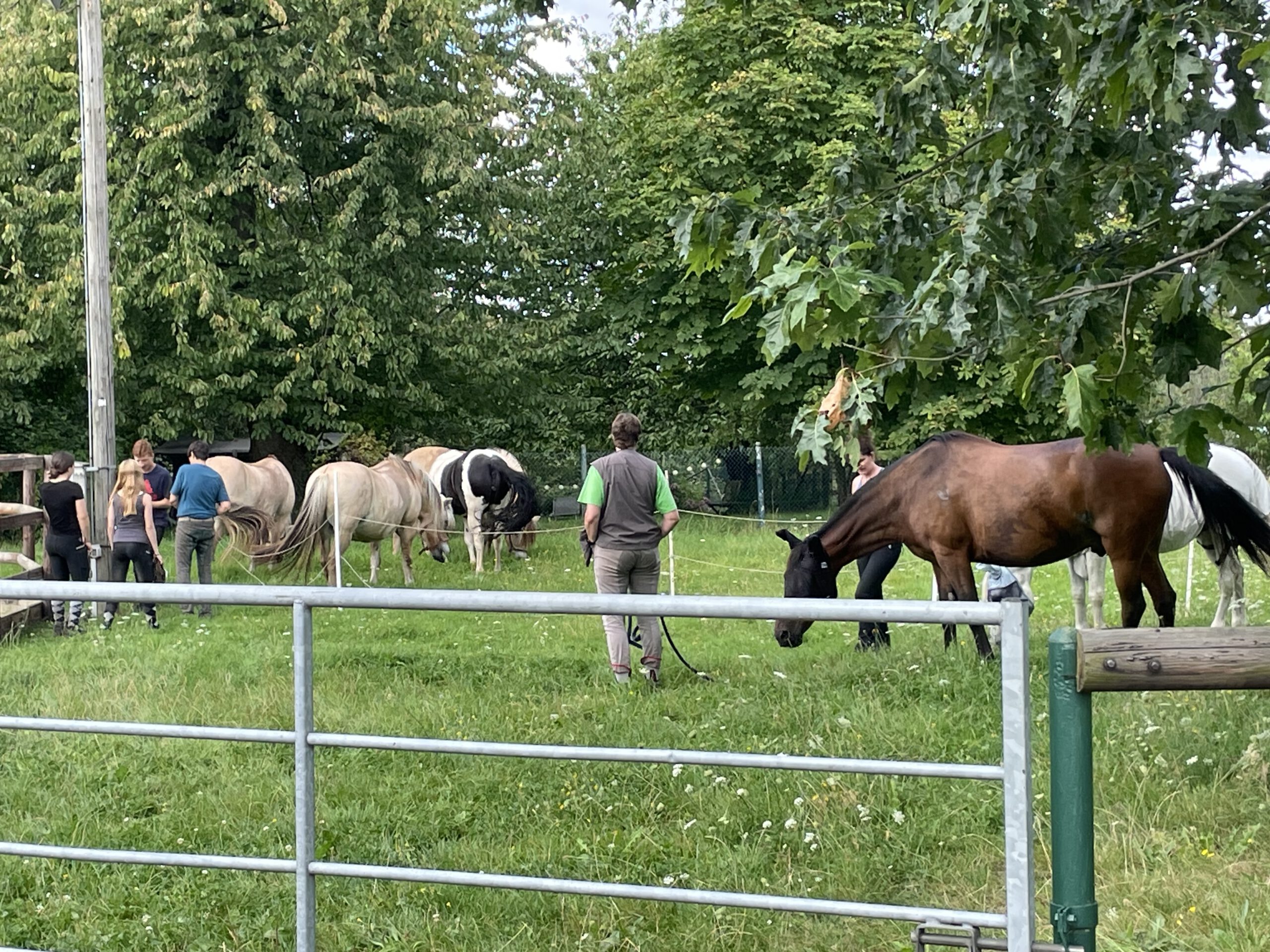 VFD Bergisch Land feiert den Sommer