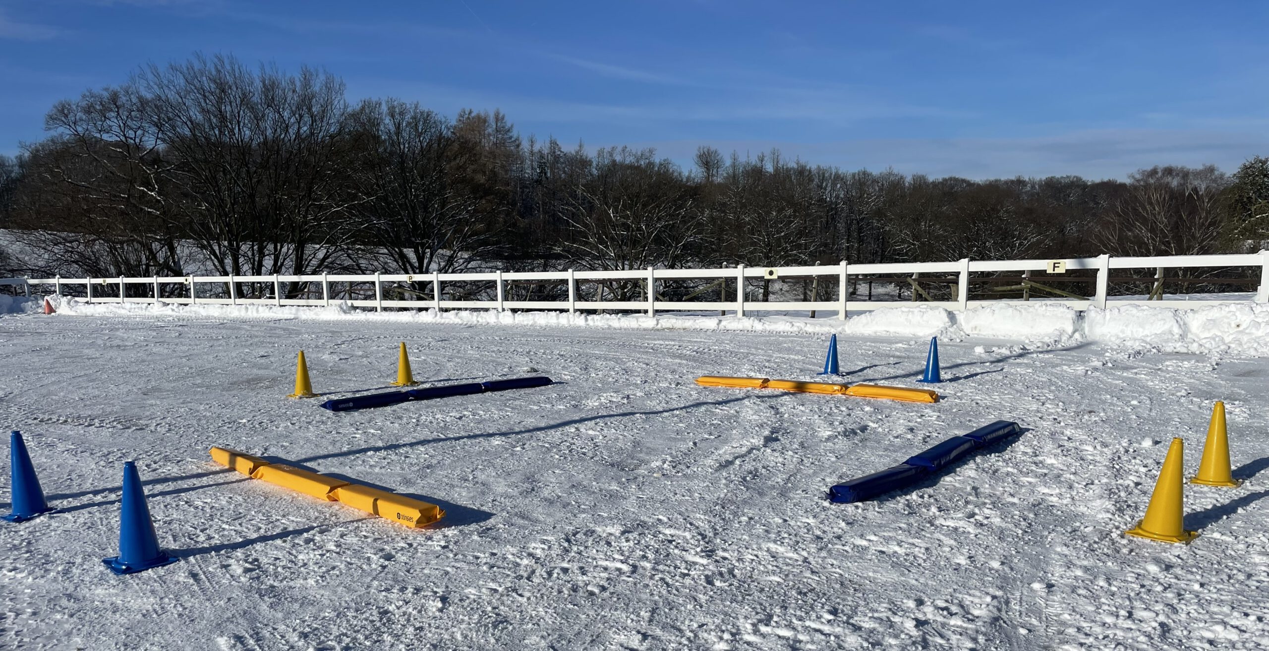 Intervalltraining fürs Pferd