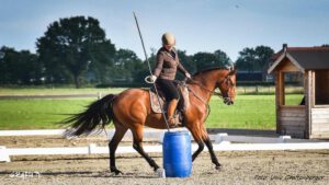 Working Equitation Trail