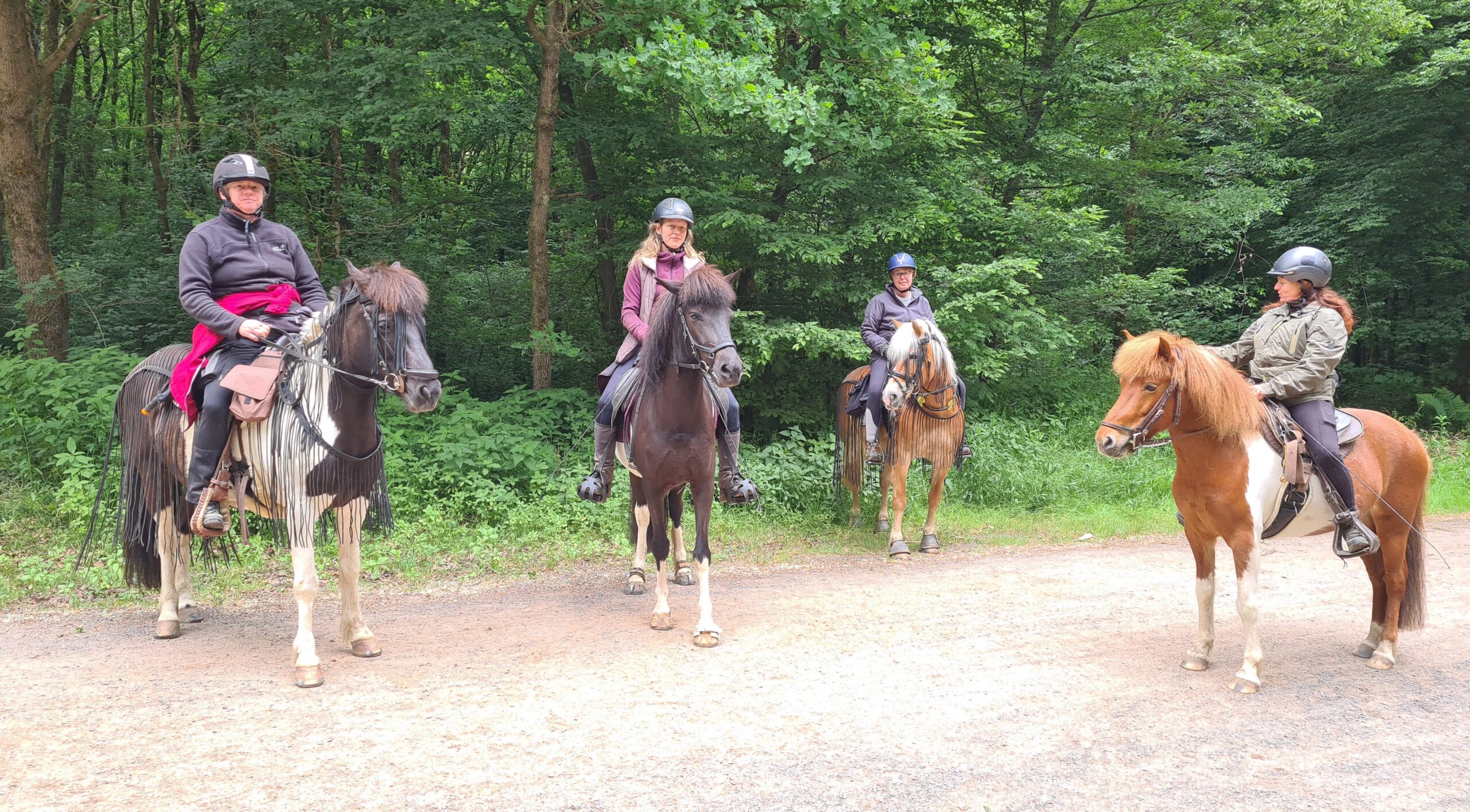 Gemeinsam reiten in Feld, Wald und Wiesen – das ist das Kernanliegen des VFD.