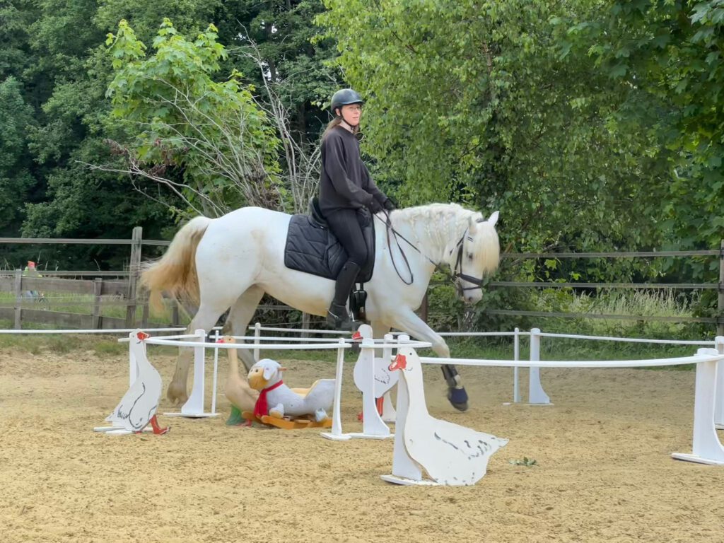 Working Equitation
