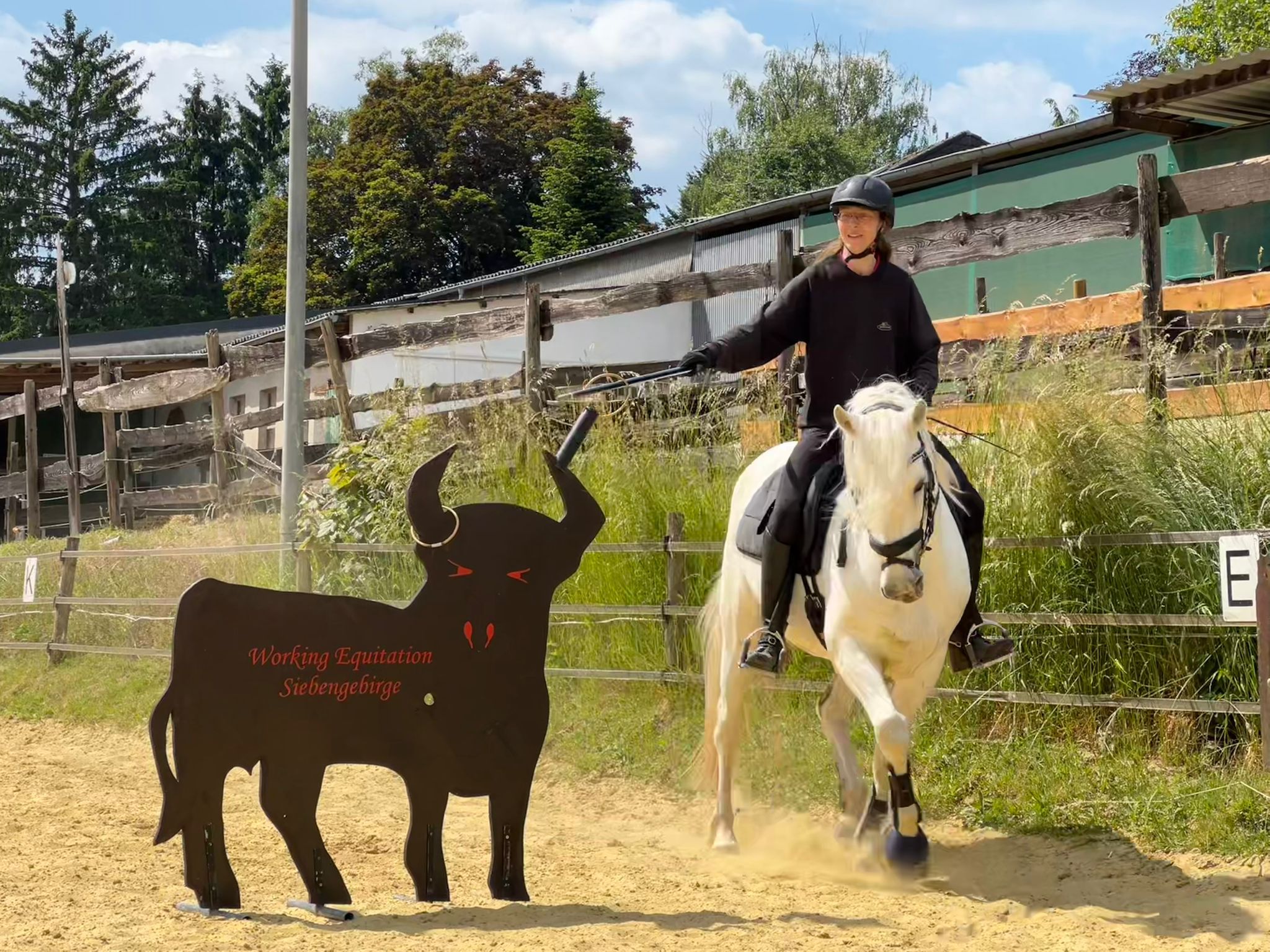 Katrin Jackens Connemarastute Katie hat sichtlich Spaß an der Herausforderung.