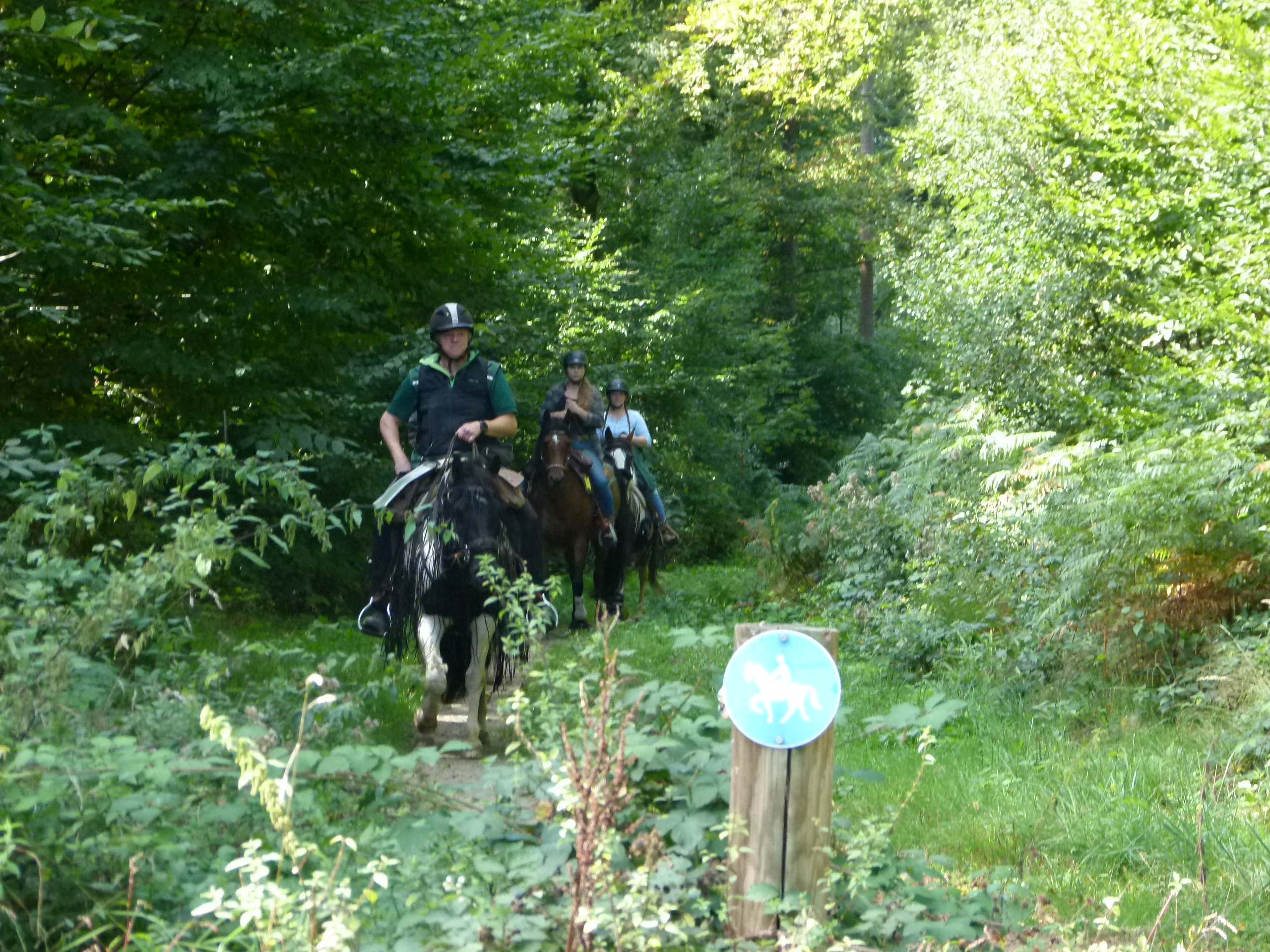 Der Königsforst bietet gut ausgebaute Reitwege; ein Ausflug lohnt auch unabhängig von Rallye oder Frühlingsritt mit Picknick. 