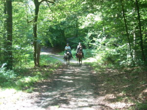 Königsforstrallye 2025