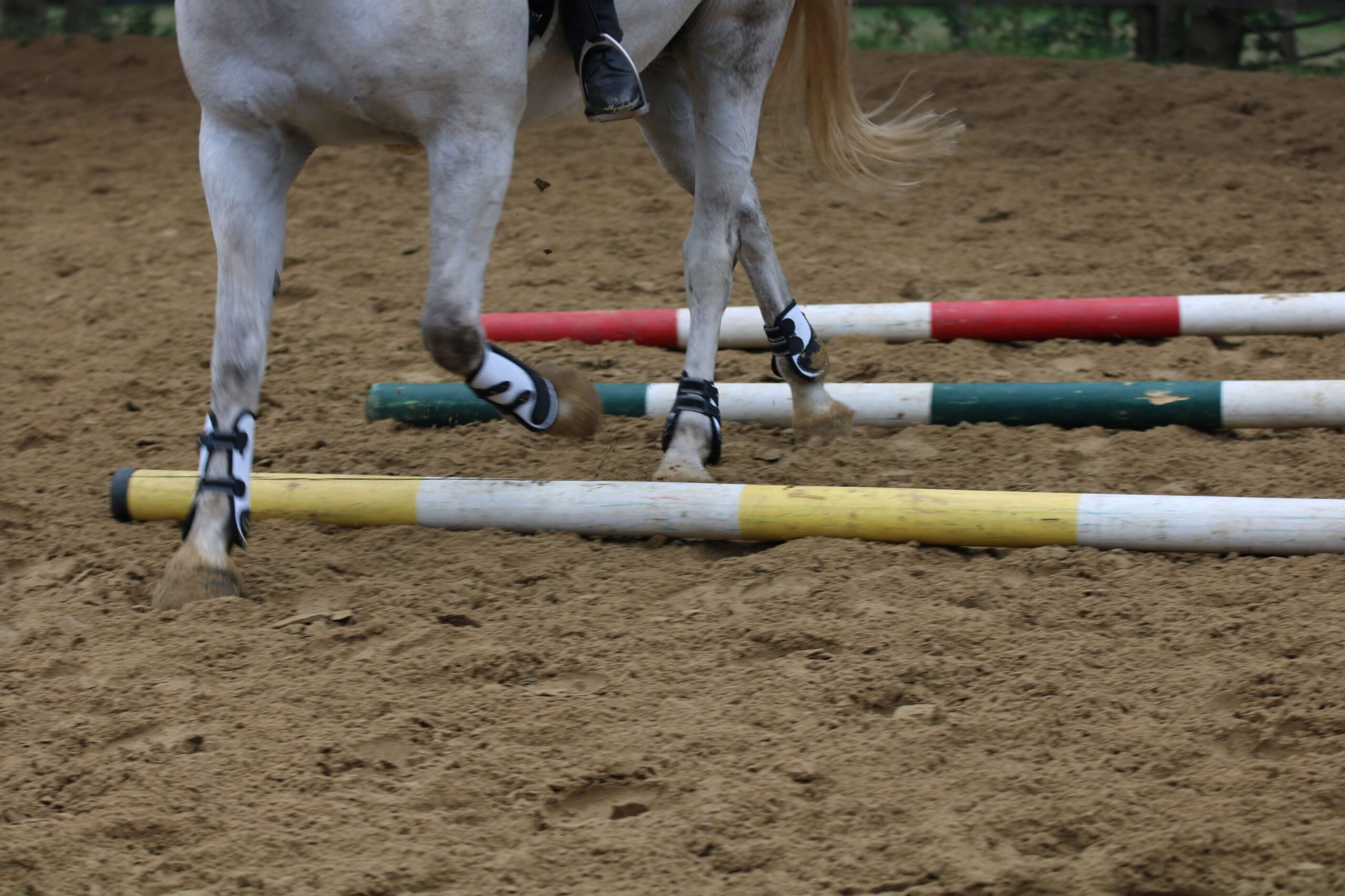 Welche Themen liegen euch am Herzen?