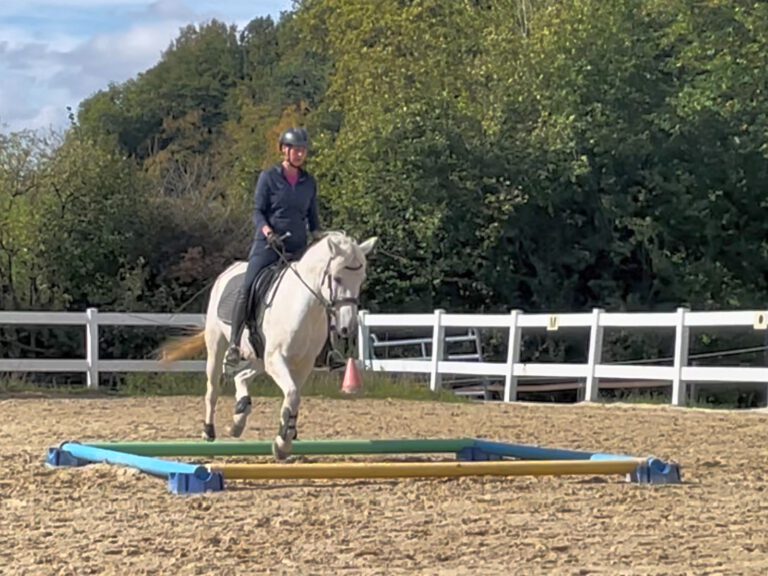 Ausschreibung_Stangenarbeit