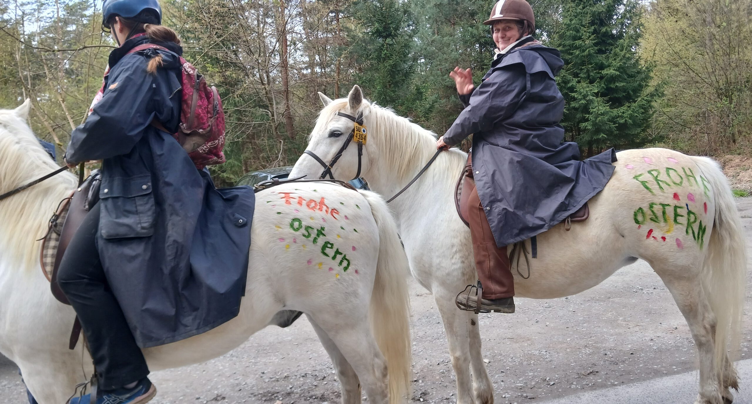 Ostereiersuchritt  –  Ei, wo isses denn?!