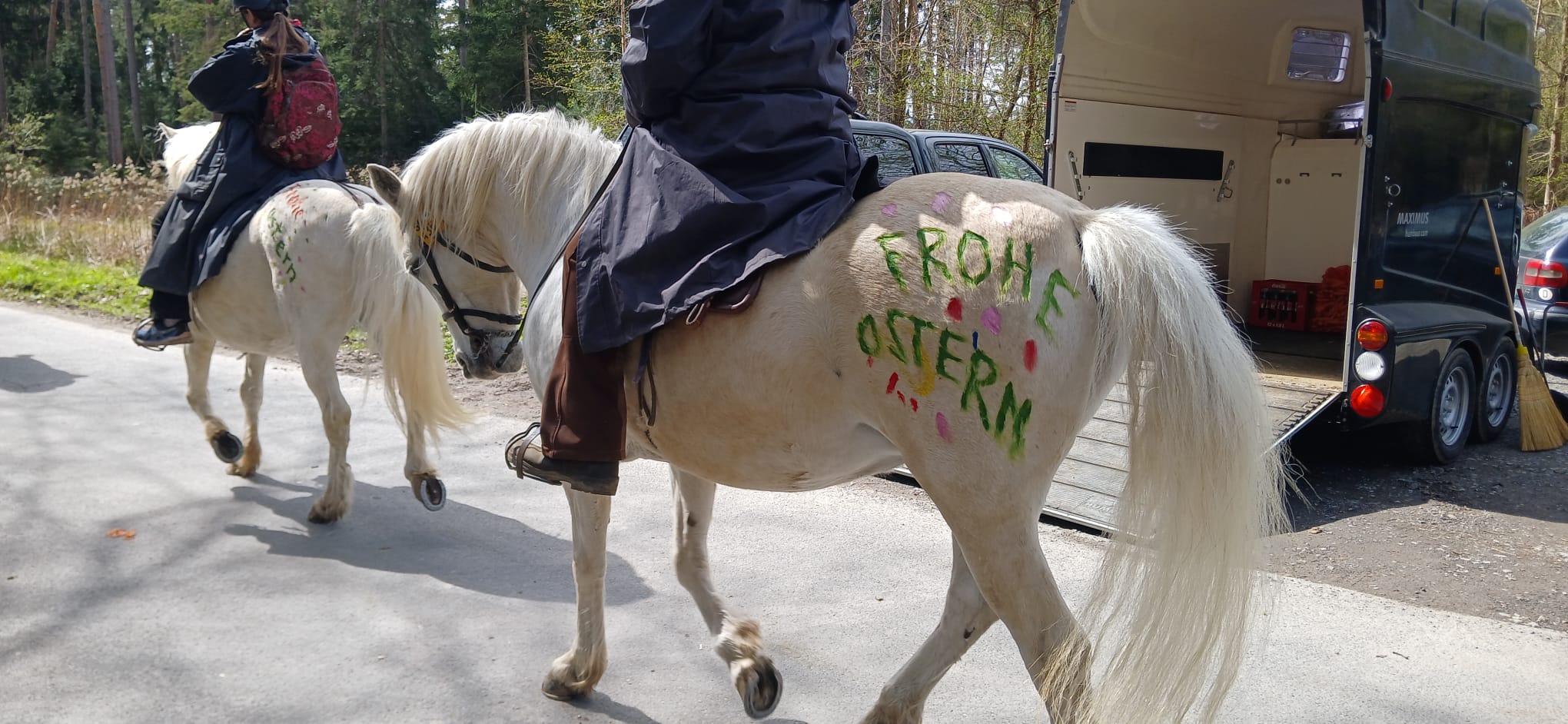 Ostereiersuchritt – Ei, wo isses denn?!