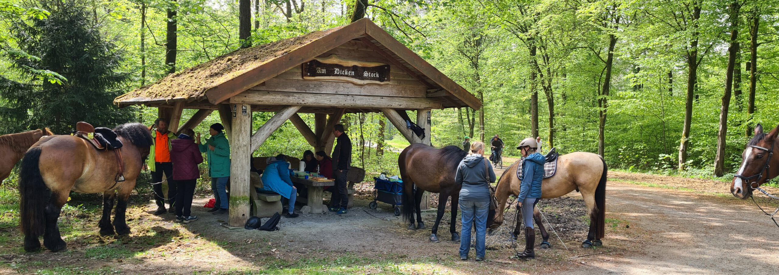 Zum Picknick in den Königsforst