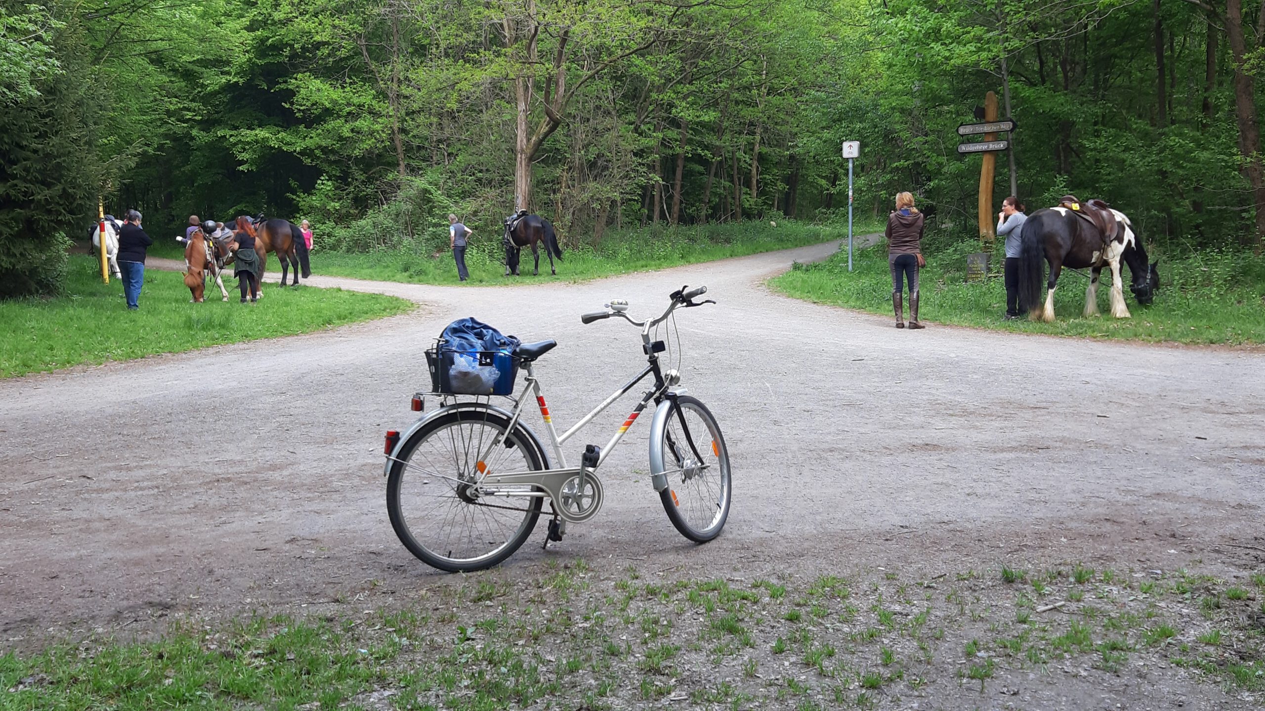 Claudia Engels Fahrrad