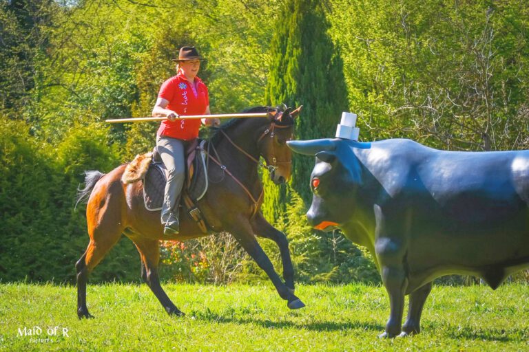 Working Equitation Workshop