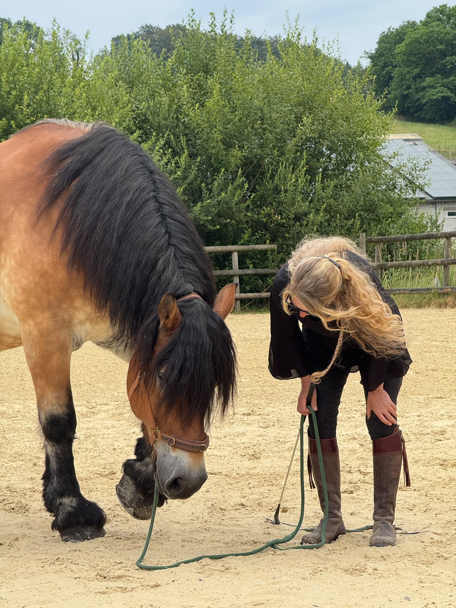 Kommunikation mit dem Pferd braucht nicht viel, um wirksam zu sein.
