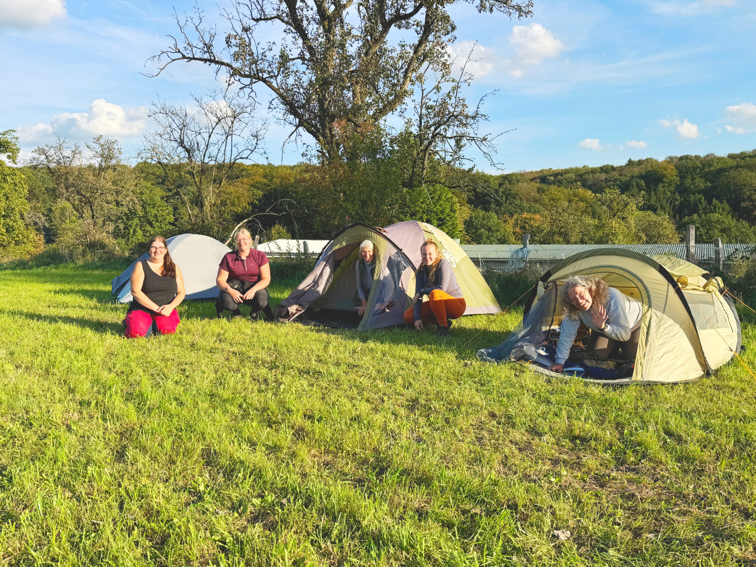 Zeltlager Reitercamp 2026